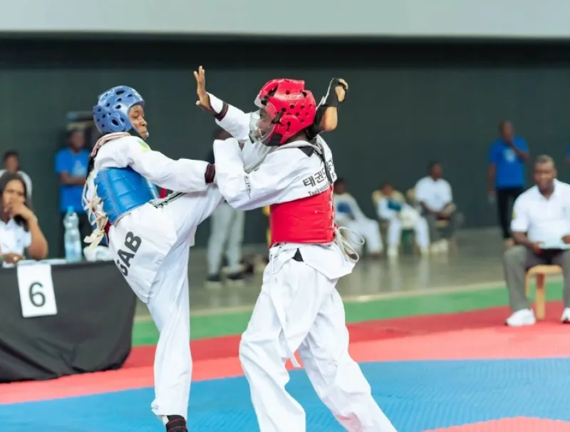  29e édition des baby champion de taekwondo