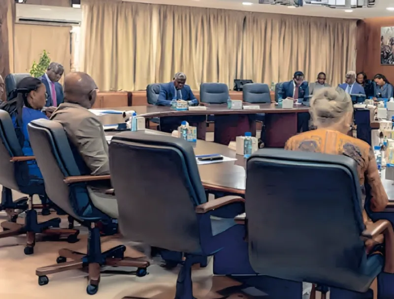 Comité stratégique chargé du suivi des projets intégrés de transformation locale de minerais