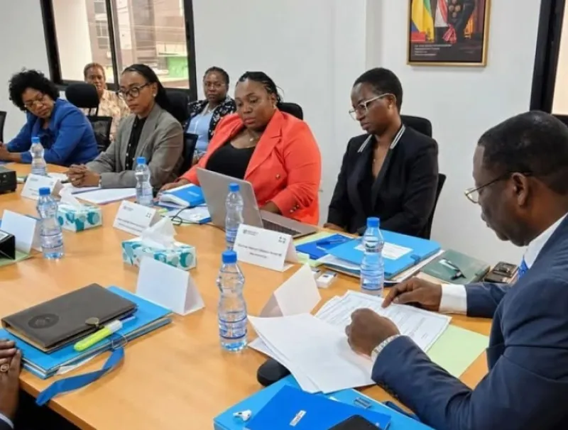 Conseil d'administration de FlyGabon