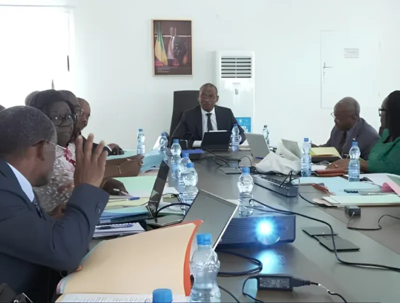 Un instantané du conseil d’administration de l’Instat-Gabon.