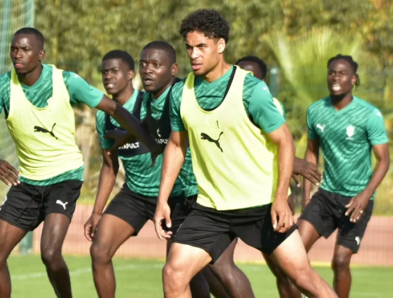 Equipe gabonaise de football