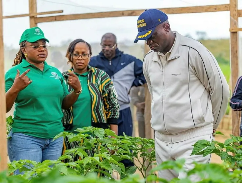 Brice Clotaire Oligui Nguema, président du Gabon, en visite à la ferme de Manfila