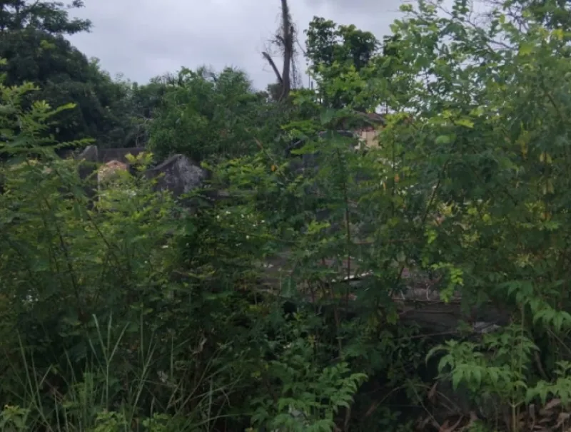Quid de l’entretien permanent des cimetières à Port-Gentil ?