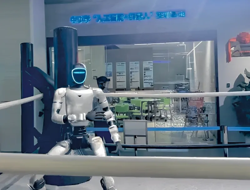 Le robot de combat en plein entraînement.