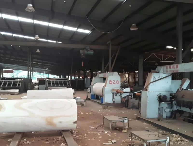 Un pan de l’usine au sein de laquelle le drame s’est produit
