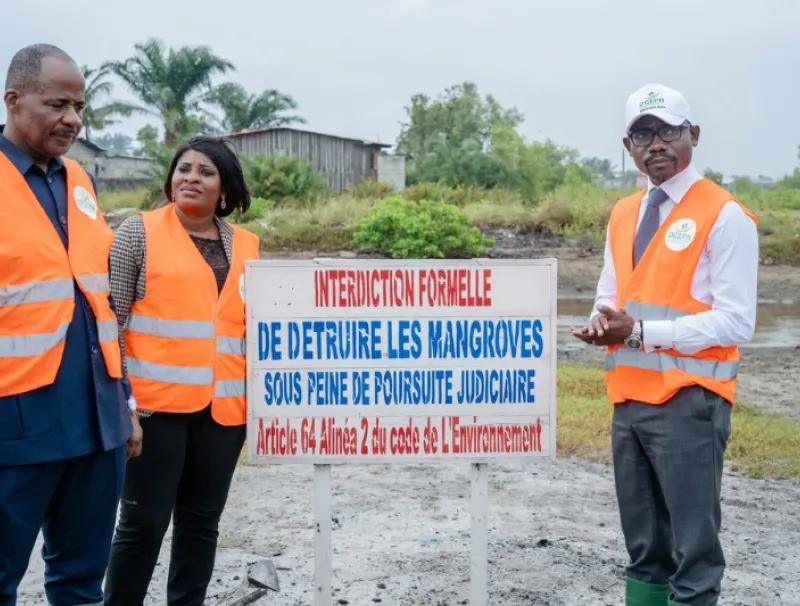 Port-Gentil : non aux constructions sur la mangrove