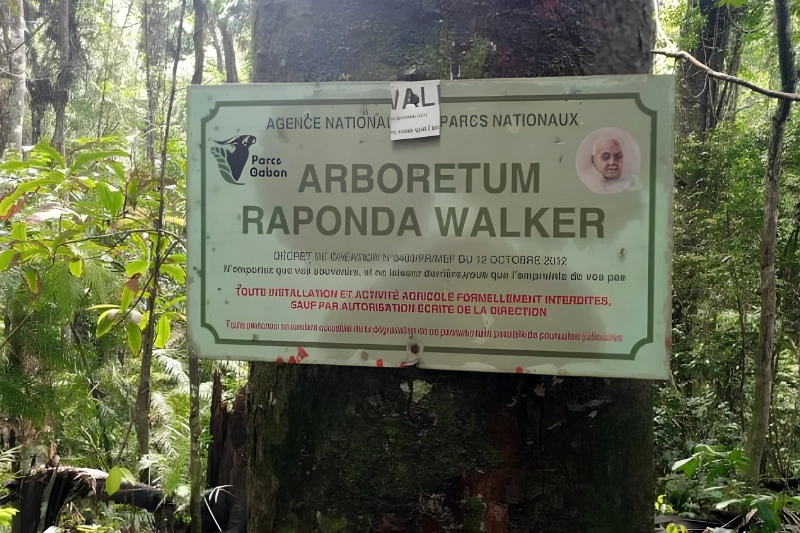 Arboretum Raponda Walker : un bouclier autour d'Akanda et de ses mangroves 