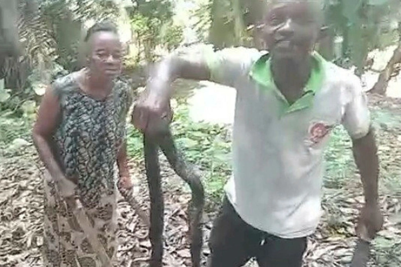 Cobra abattu à Koulamoutou