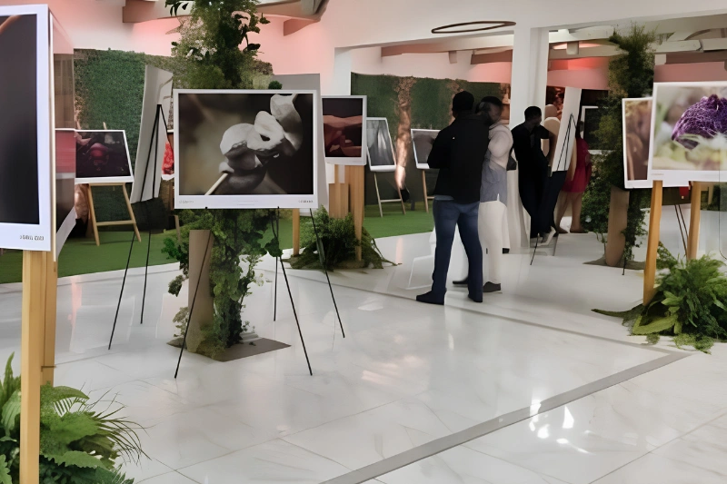 Concours national de la photographie : cap sur la 5e édition 