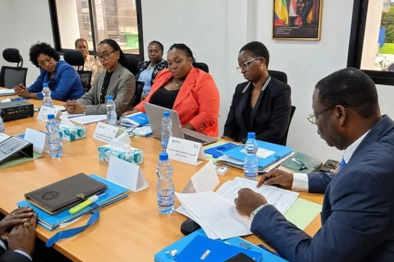 FlyGabon Holding : un premier conseil d'administration et des ambitions pour le secteur aérien