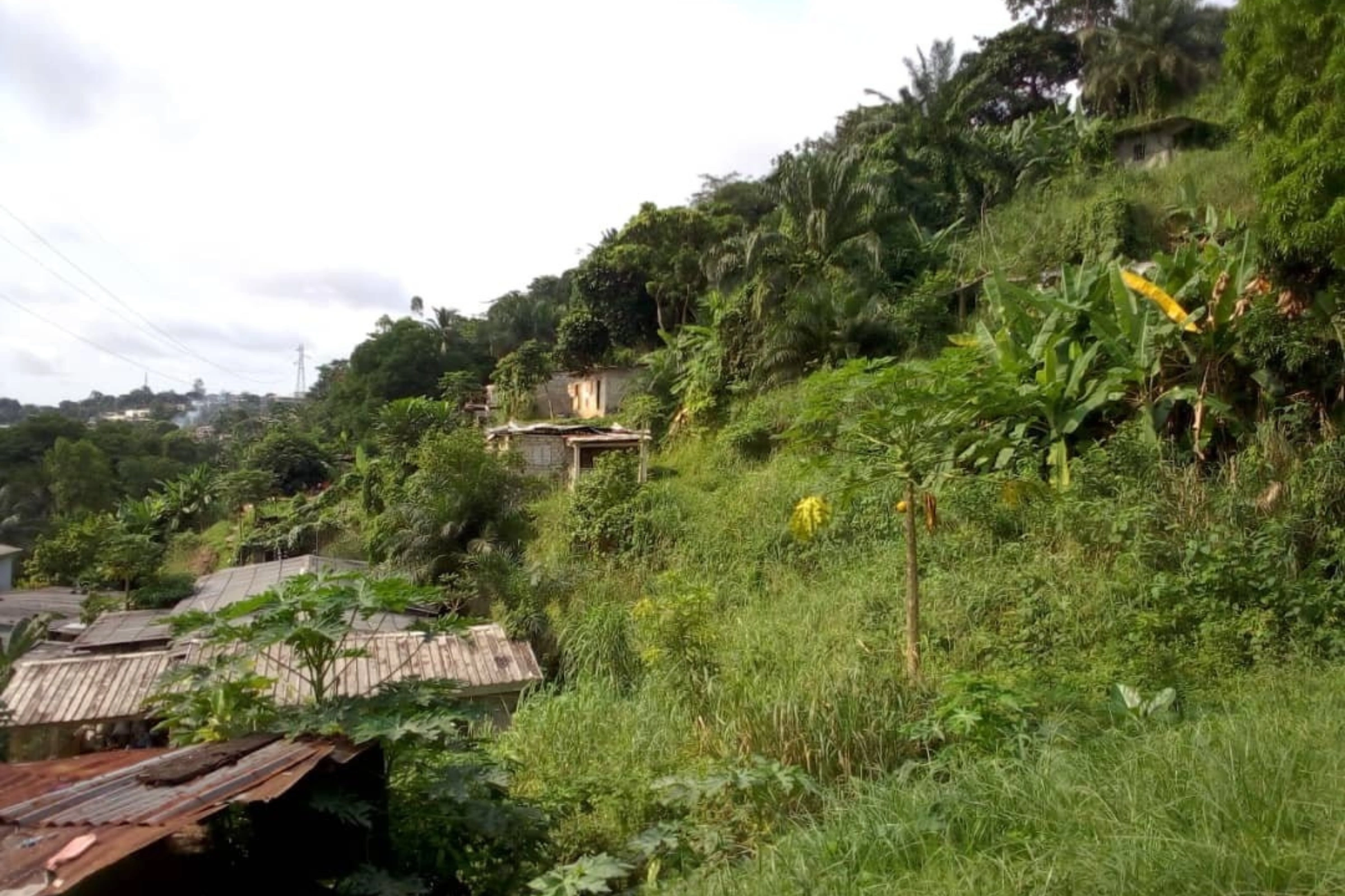 Derrière le marché-banane. © Olivier NDEMBI