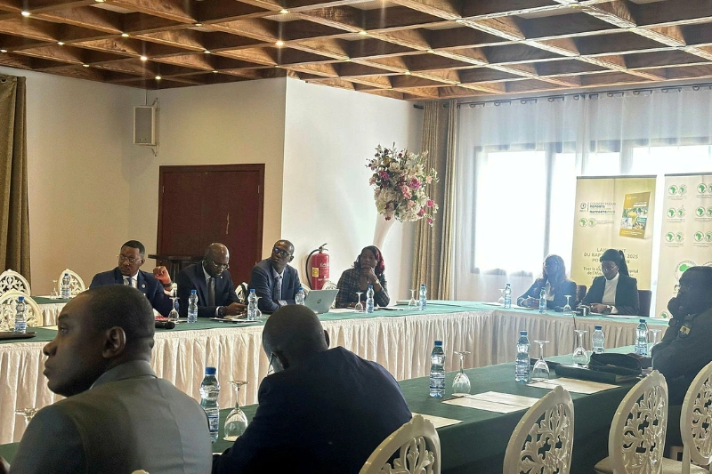 Cet atelier doit permettre aux experts de définir la feuille de route du pays. © DR