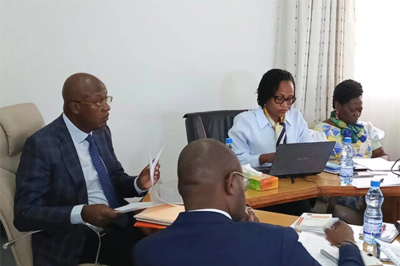 Le ministre de la Justice Paul-Marie Gondjout répondant par visioconférence aux membres du Comité onusien sur la discrimination. | DR