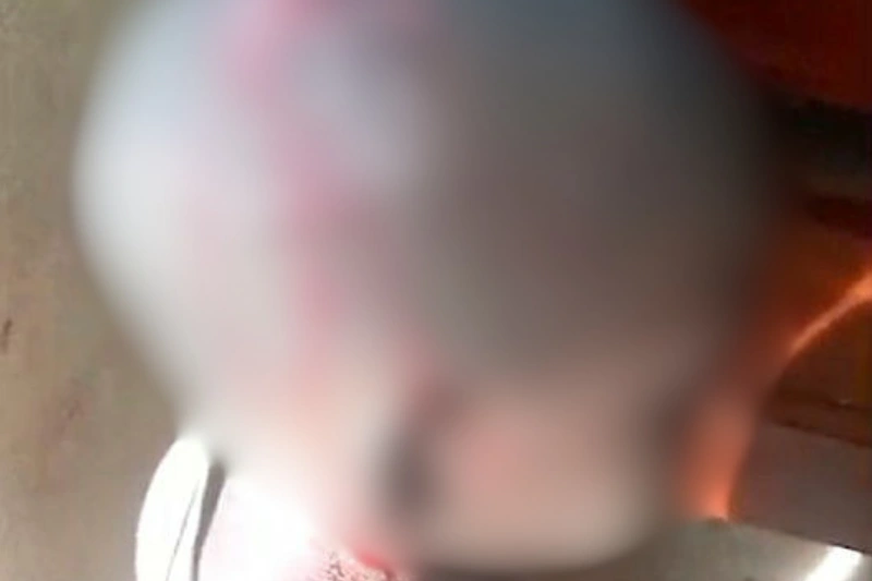 L’élève tel qu’il est arrivé en classe le matin de la commission des faits