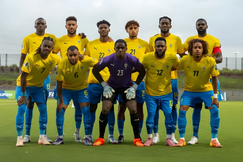 Panthères : toujours pas de sélectionneur