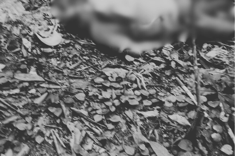 Éric Ndamana, retrouvé mort dans la forêt à Akiéni