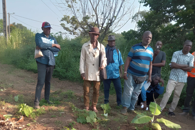 PANA/ Formation en agriculture et élevage biologique pour les populations de la Lombo-Bouenguidi