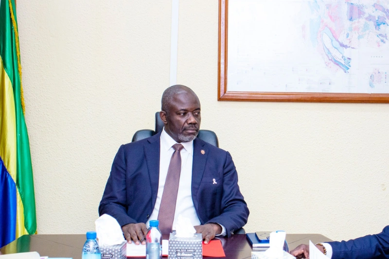 Mine de Baniaka : Shico veut financer 60 % du projet