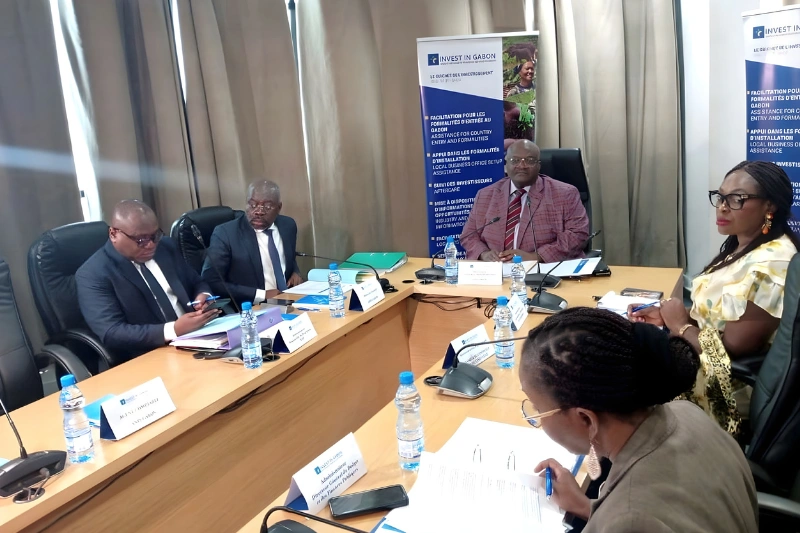 ANPI-Gabon : un budget estimé à 4 milliards