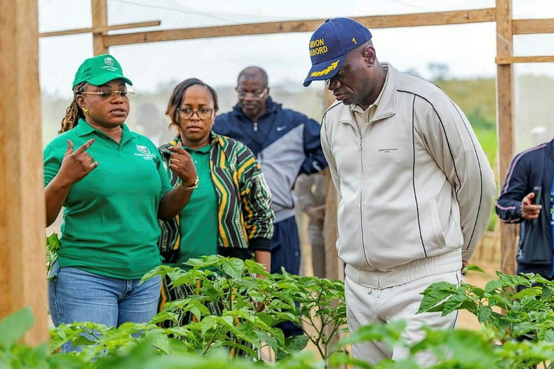 Tchibanga : la ferme de Manfila, symbole d’un Gabon qui veut se nourrir