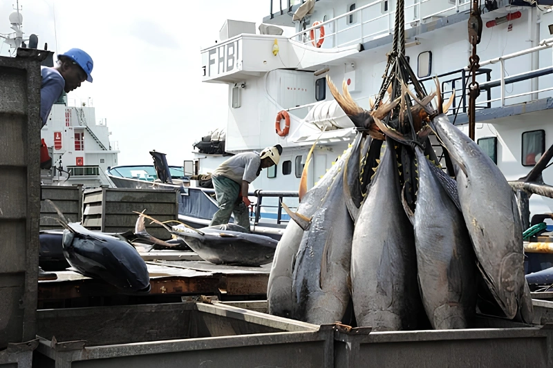 Pêche : le Gabon veut renégocier son partenariat avec l'UE