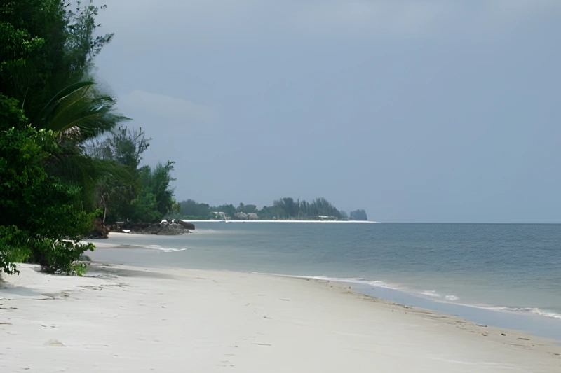Pointe Denis : le trône du roi Denis Rapontchombo appelle au respect des traditions maritimes