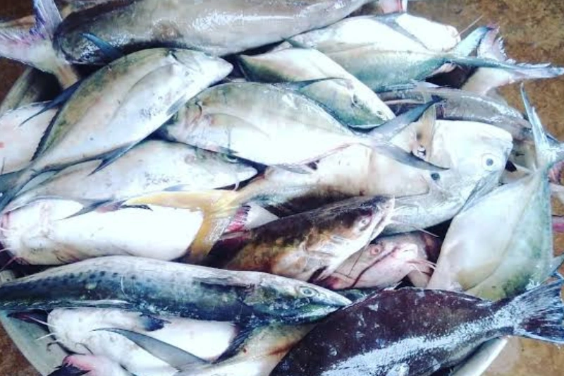 Le Capal a encore un "bateau" de retard