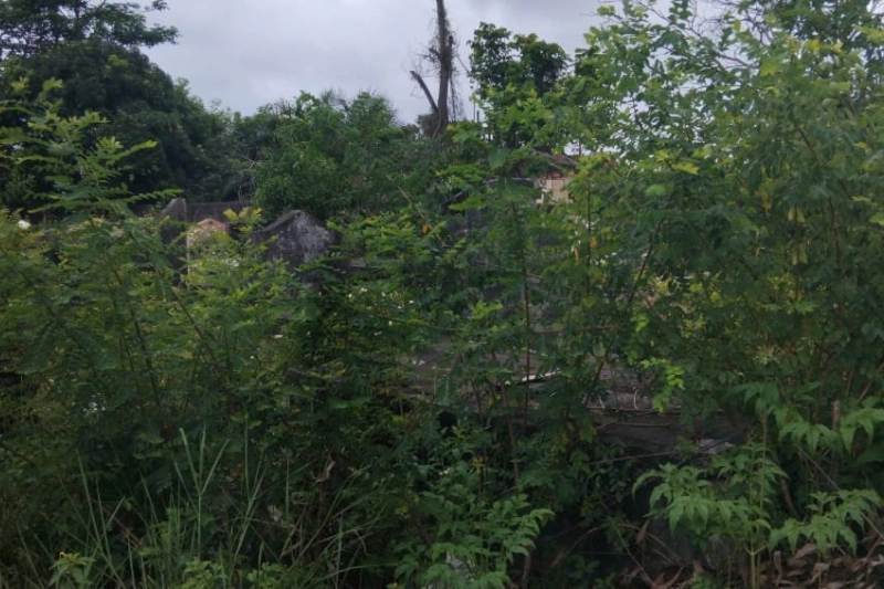 Quid de l’entretien permanent des cimetières à Port-Gentil ?