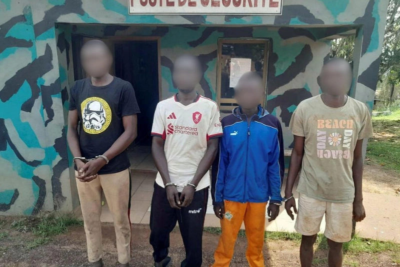 Les suspects de la tentative de cambriolage du Trésor à Franceville