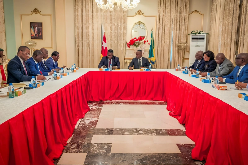 Rencontre entre Dieudonné Aba'a Owono et le Pr Djobo-Babakane Coulibaley