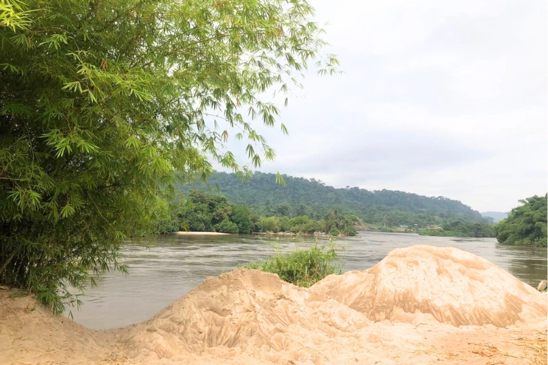 Une rive de l'ogooué