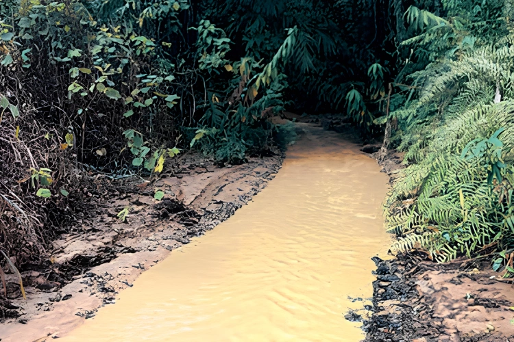 De l'or, du sable, du manganèse...et plus une goutte d'eau claire