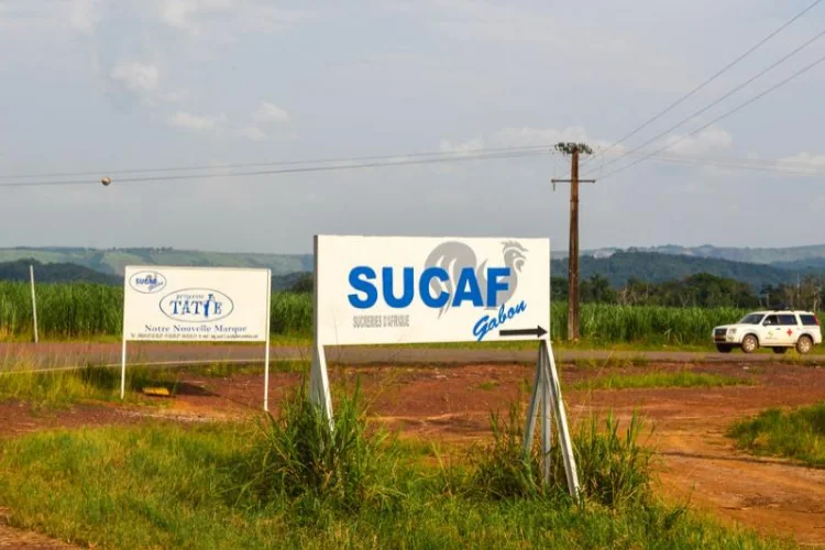 Sucreries du Gabon : quel impact sur l'approvisionnement des marchés ?