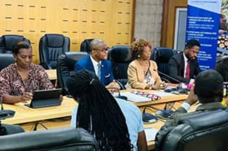 Toastmaster internationale : Libreville capitale du leadership africain