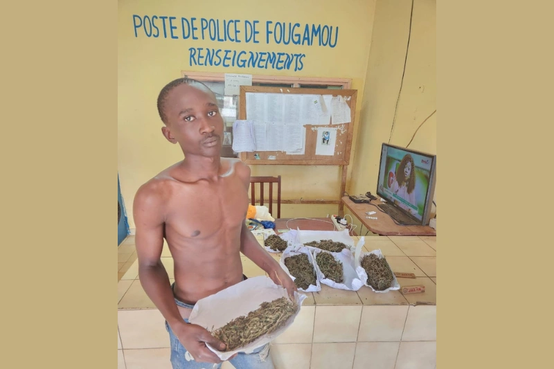 Trafic de stupéfiants : le Malien Diawara se ravitaillait à Mandji