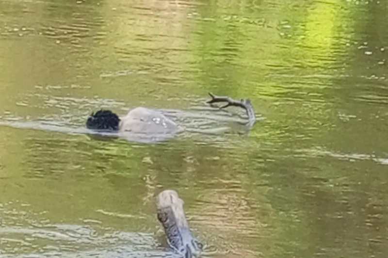 Le corps de Yarel a été retrouvé le lendemain de la noyade flottant sur les eaux de la Sébé