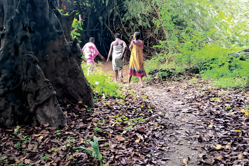 Forêt de Biweni à Lambaréné