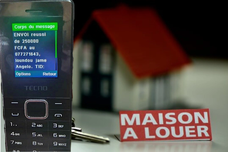 Une des dernières transactions obtenues d’une des victimes des arnaqueurs. ©  Adjaï Ntoutoume