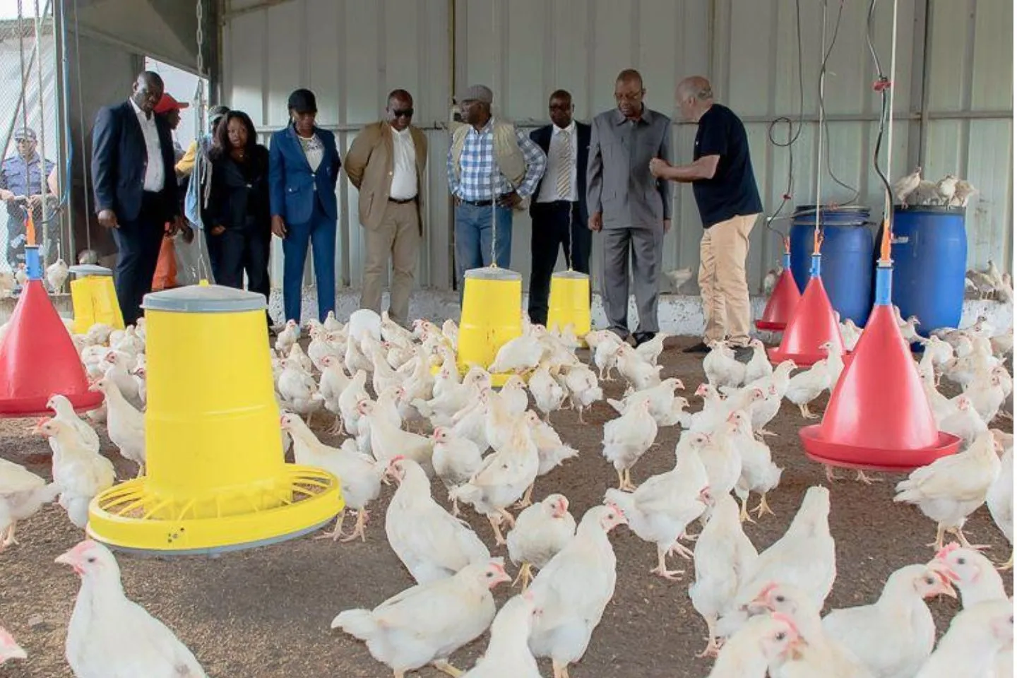 Agriculture : penser absolument aux opérateurs nationaux