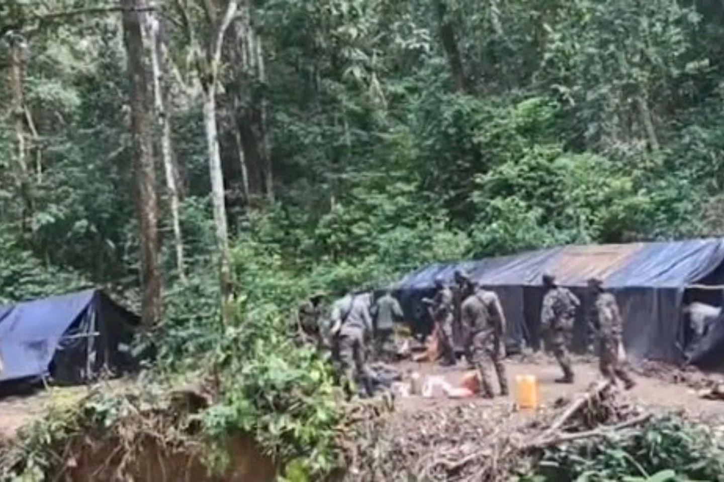 Opération Moukongo 2 : 17 orpailleurs clandestins arrêtés par les FDS