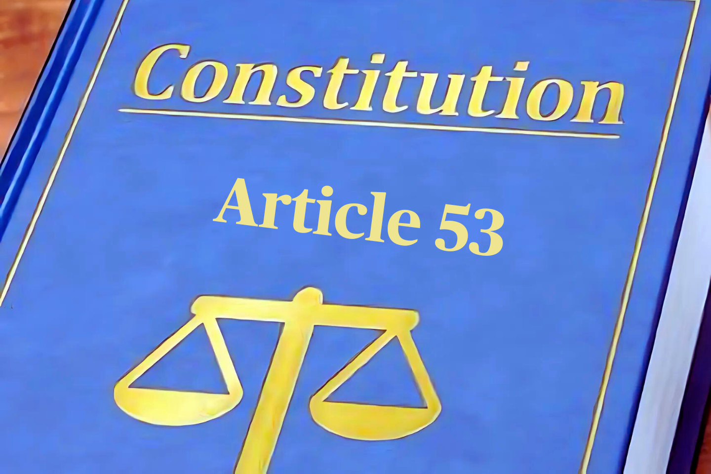 Projet de Constitution : cet article 53 tant querellé !