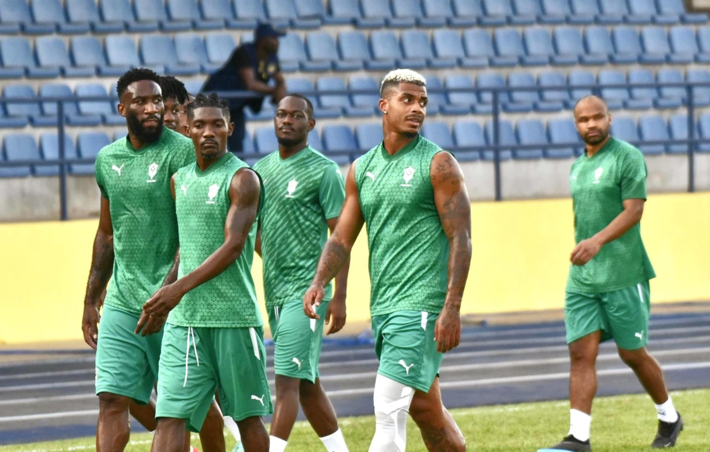 Entrainement des panthères du Gabon © DR