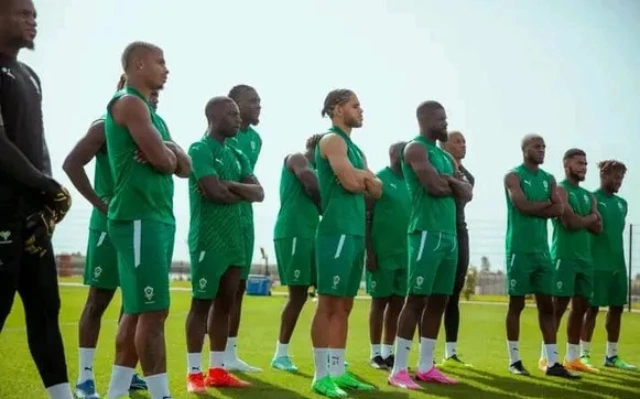 Les joueurs de l'équipe nationale du Gabon. © DR