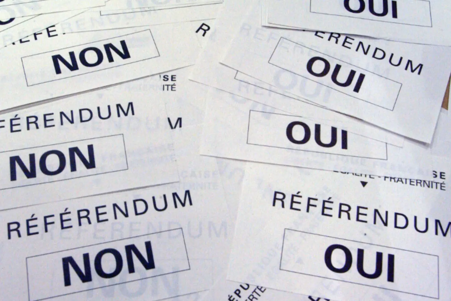 Exemple de bulletins de vote © DR