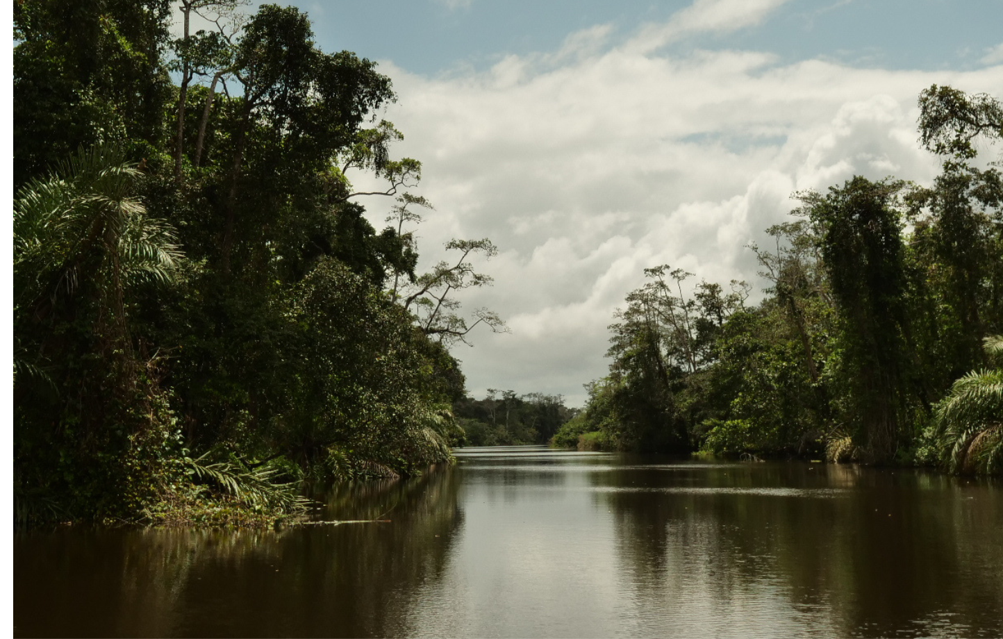 Parc national de la Loango © DR