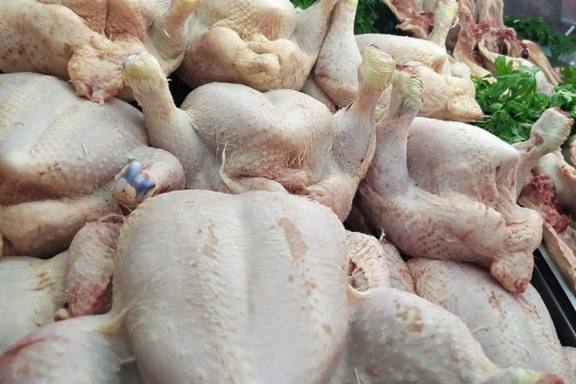 Alimentation : le Gabon dit stop au poulet importé