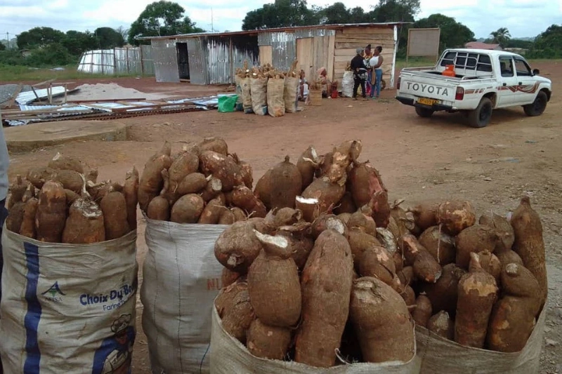 Les vendeuses de tubercules de manioc de Bitam peinent à s’en sortir face aux taxes.