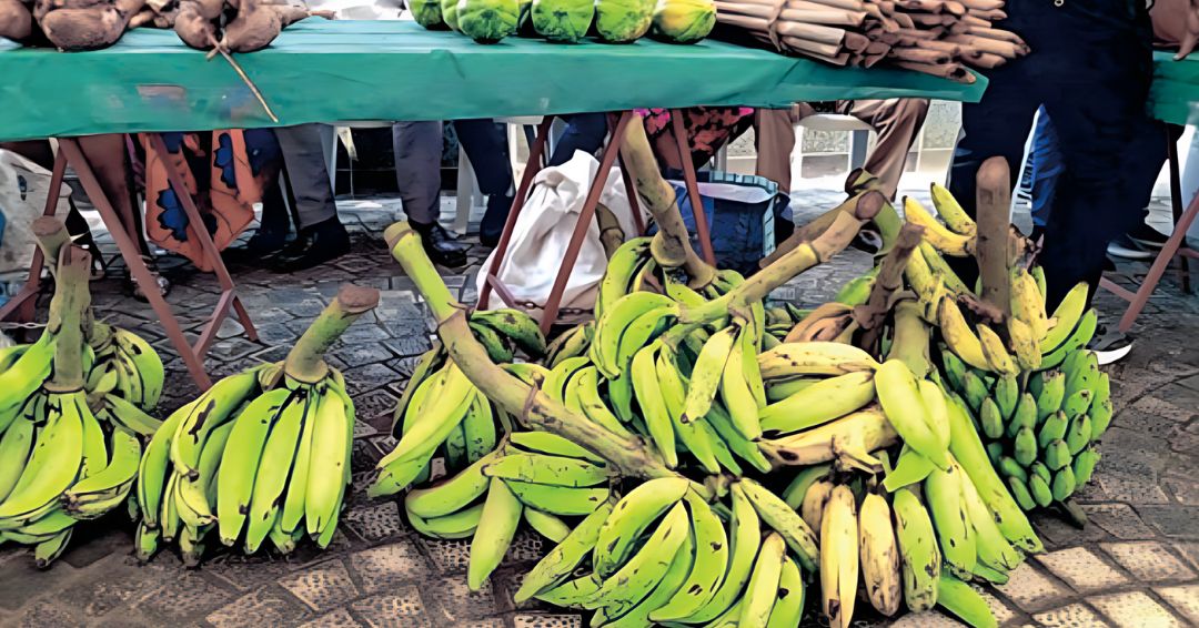 Nutrition : le Gabon accuse de nombreux déficits