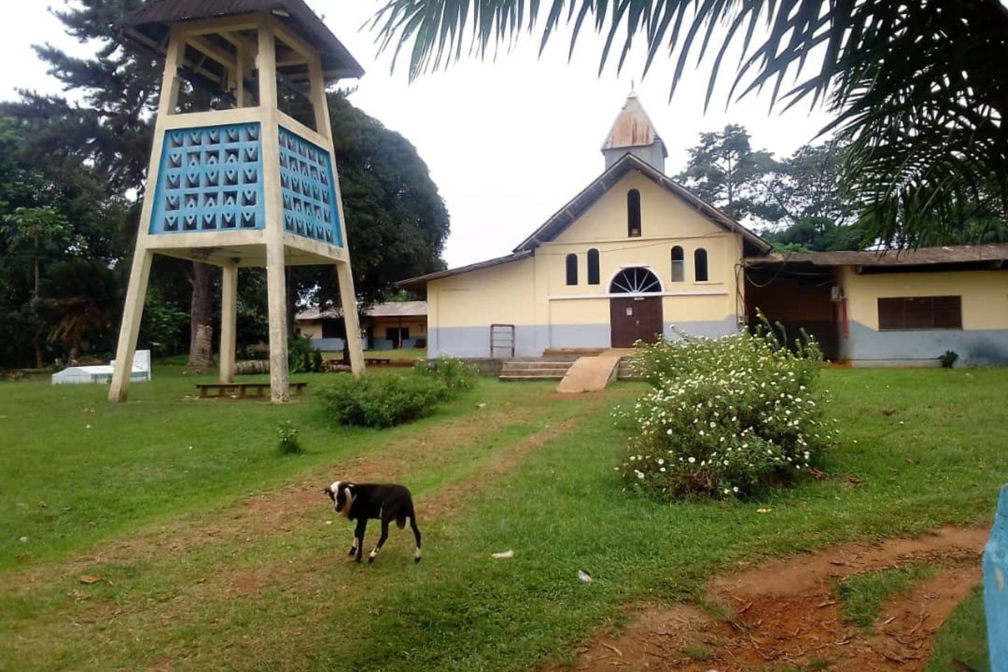 Lebamba : 3 millions de francs volés à la paroisse Saint-Augustin