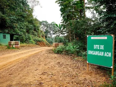 Agroforesterie  : l’heure du bilan pour le groupe Alpha Centauri Mining